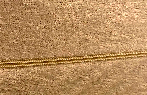 Toutes les punaises de lit seront enfermées dans la mallette GEKTOR