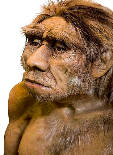 Néandertal